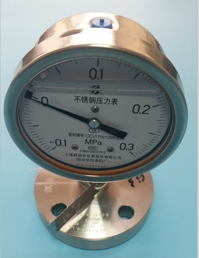 法蘭式隔膜耐震壓力表Y-100B-FZ/Z/MFB/316L