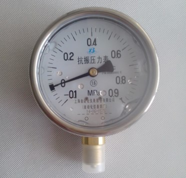 Y-60AZ抗振壓力表