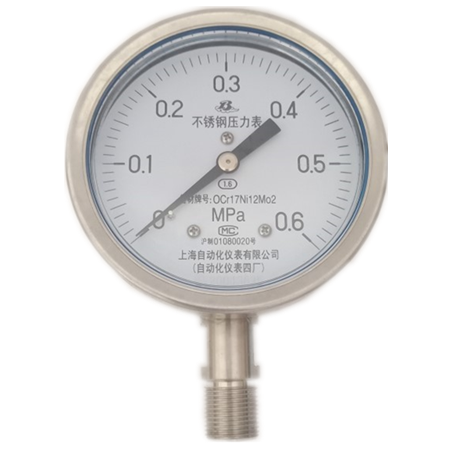 不銹鋼壓力表Y-100B-F（0-0.6MPa）